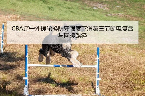 CBA辽宁外援轮换防守强度下滑第三节断电复盘与回暖路径